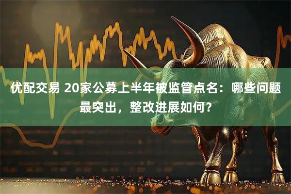 优配交易 20家公募上半年被监管点名：哪些问题最突出，整改进展如何？
